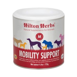 Mobility Support Dog