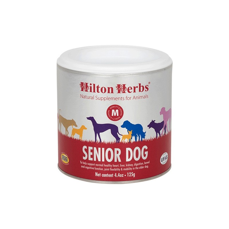 Senior Dog