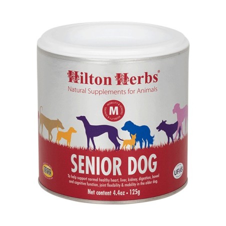 Senior Dog Senior Dog