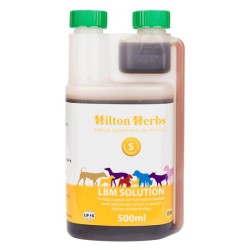 LBM Solution Dog - 500 ml