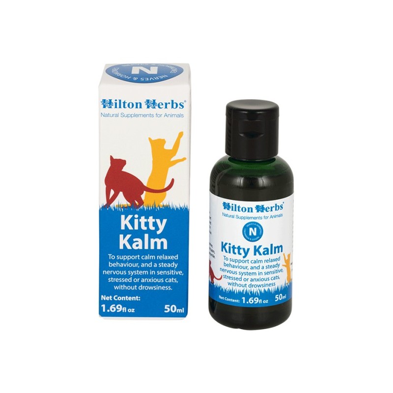 Kitty Kalm