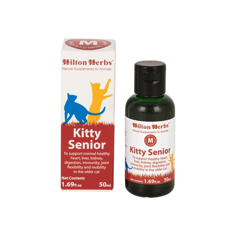 Kitty Senior