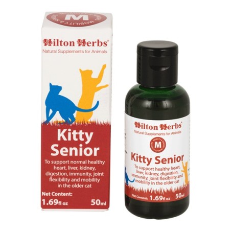 Kitty Senior
