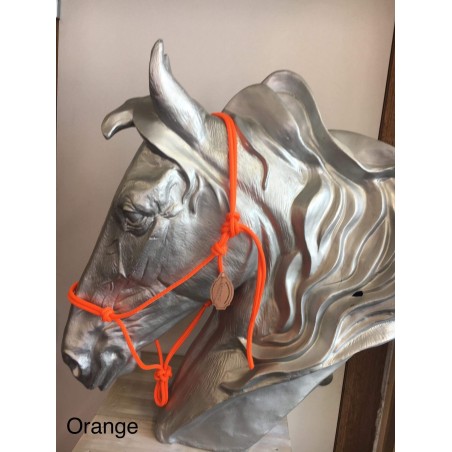 Orange Orange