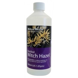 Witch Hazel