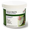 Field Paste