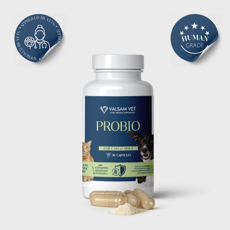 Valsam Vet PROBIO