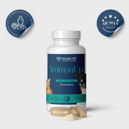 Valsam Vet ImmunUp