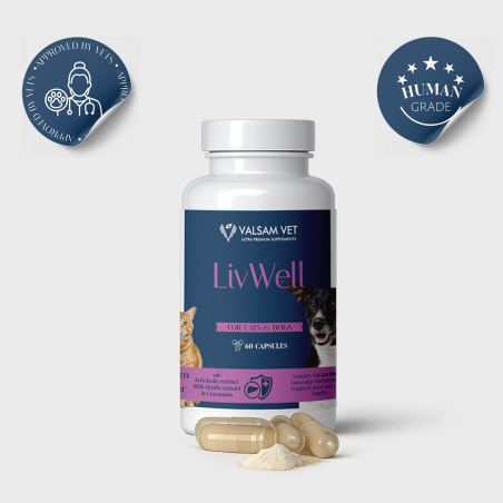 Valsam Vet LivWell